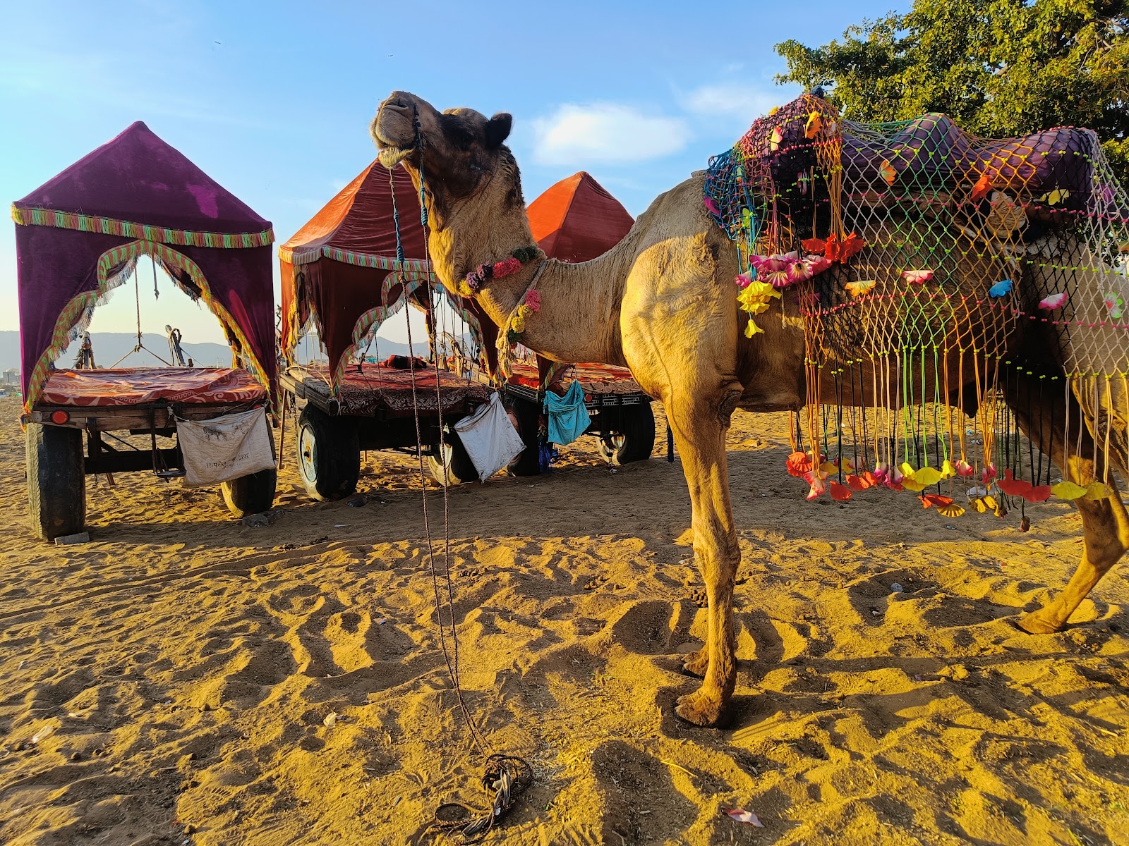 Sunset Point Pushkar