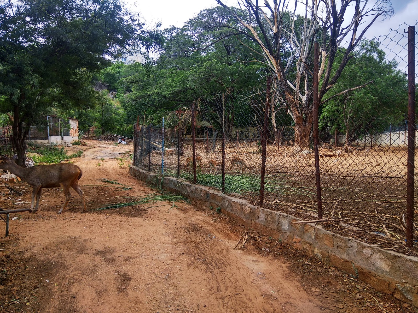 Chaitanya Jyoti Museum