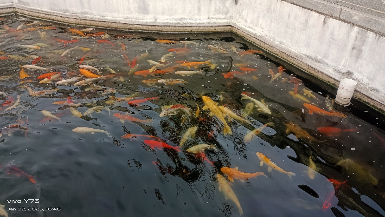 Chaitanya Jyoti Museum