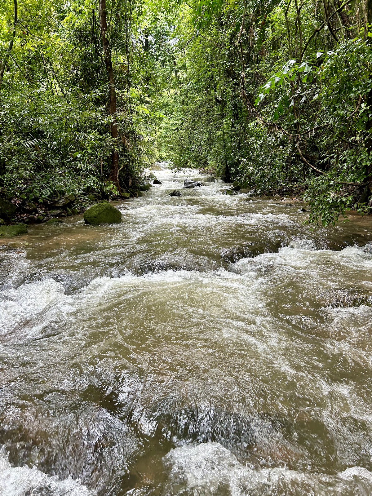 Tambdi Surla Waterfall