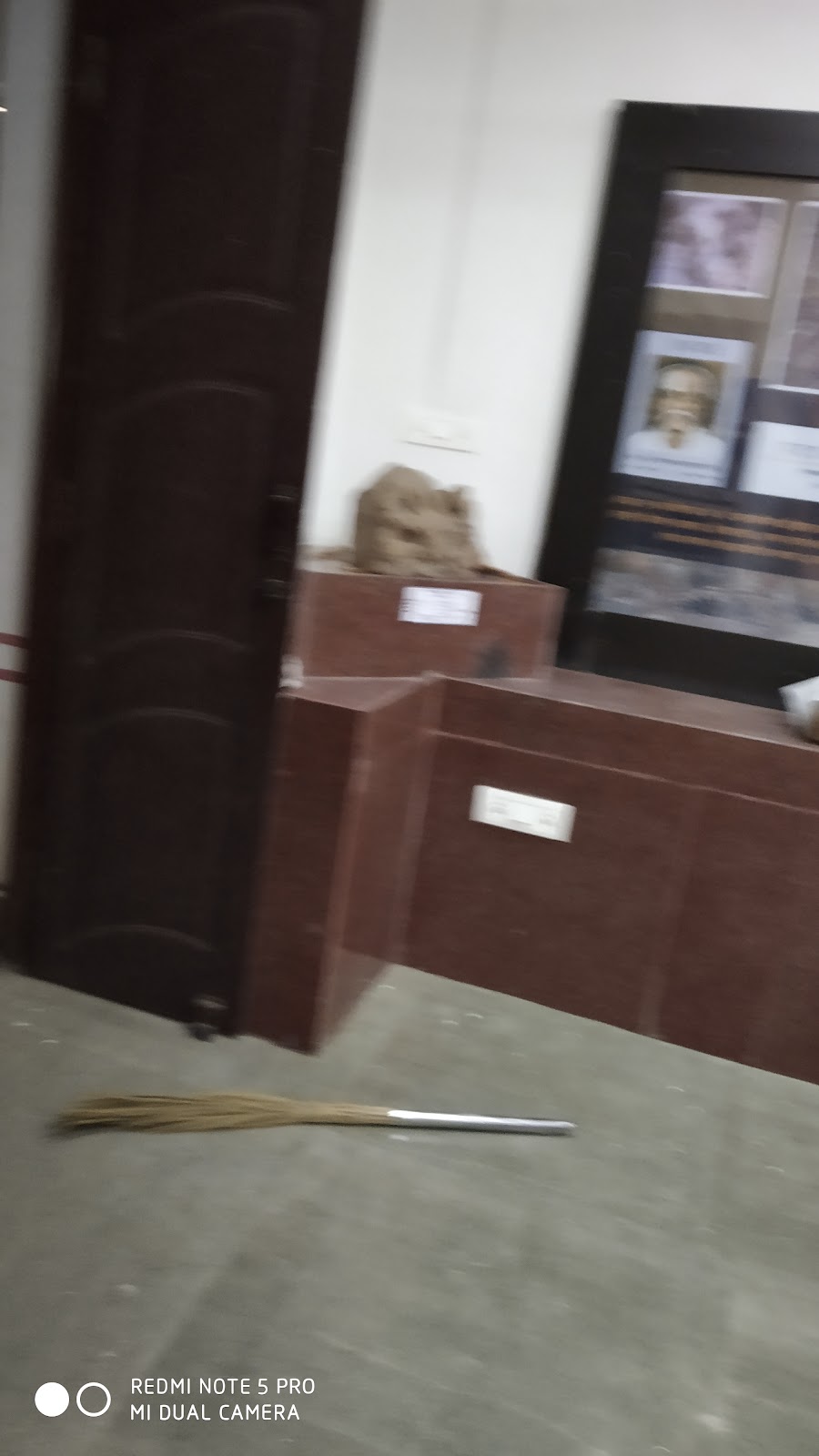 District Museum Raigarh