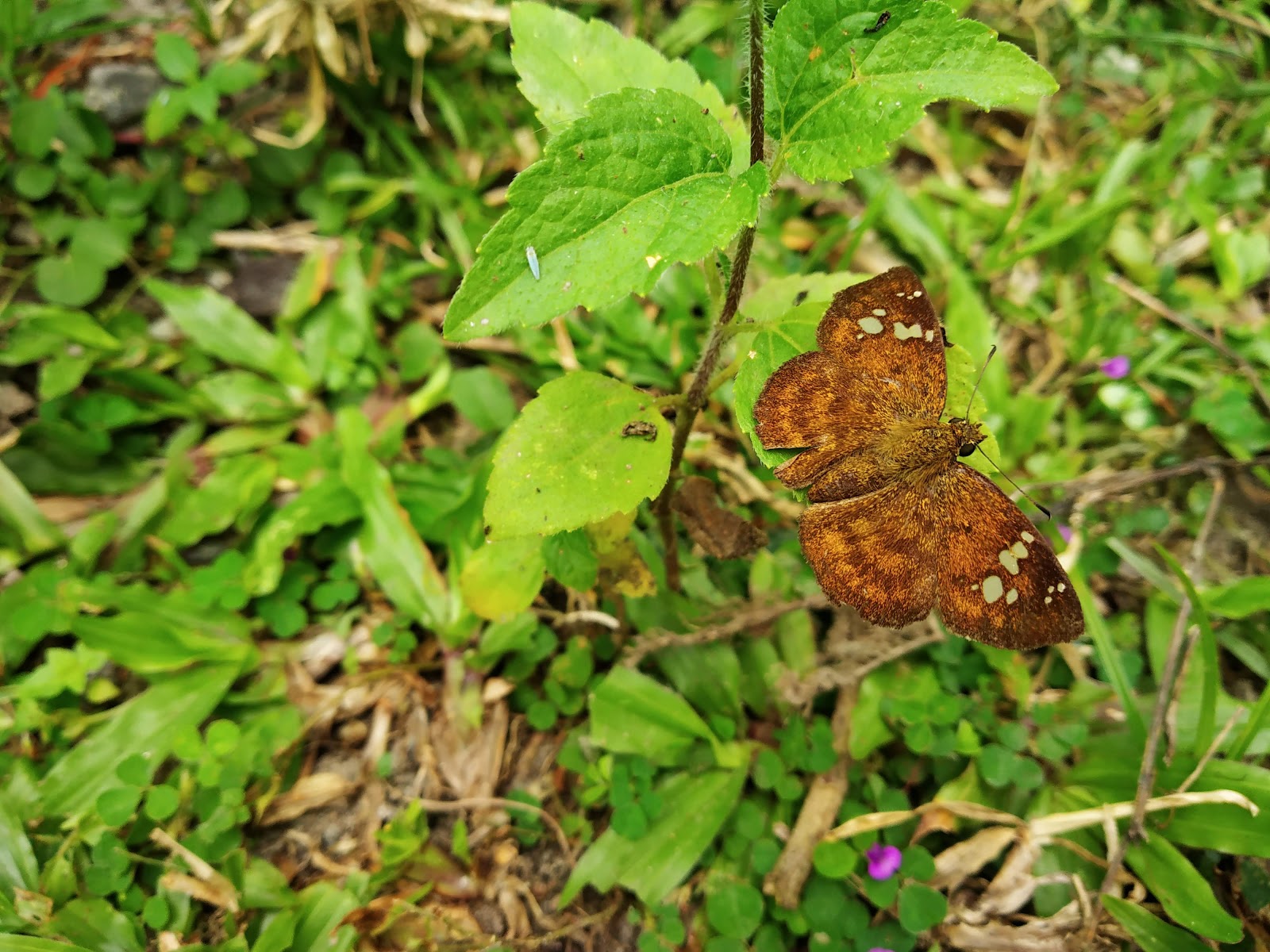 Rajabhatkhawa Eco Park