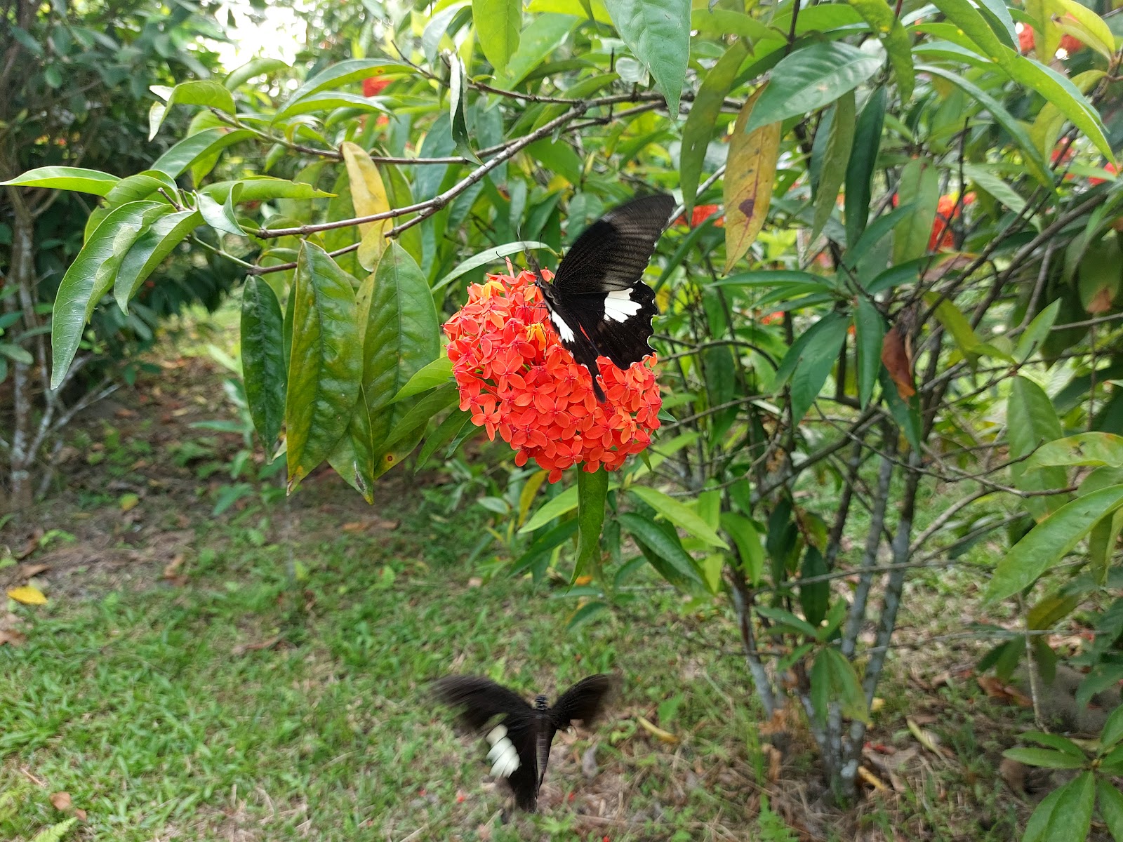 Rajabhatkhawa Eco Park