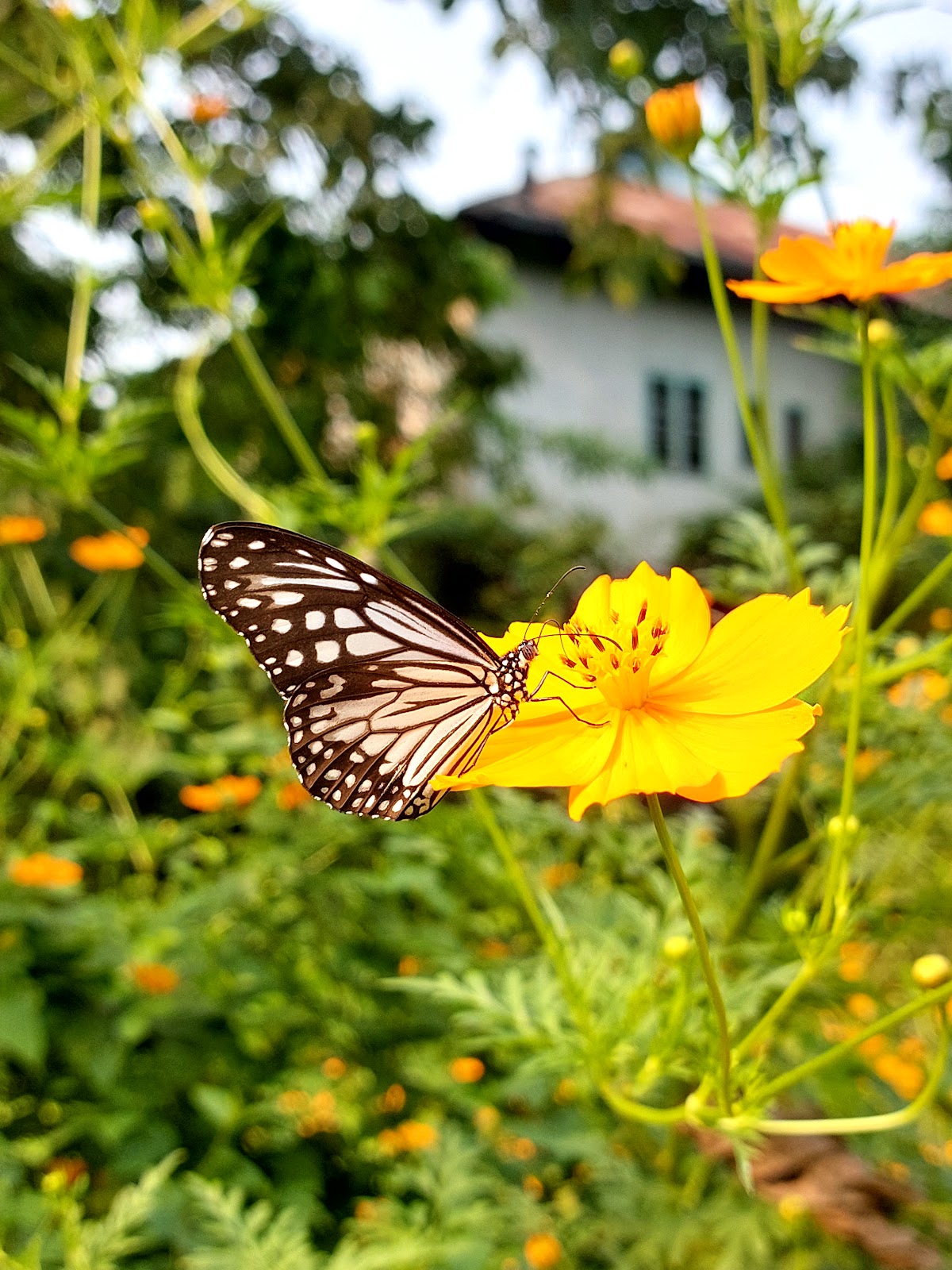Rajabhatkhawa Eco Park
