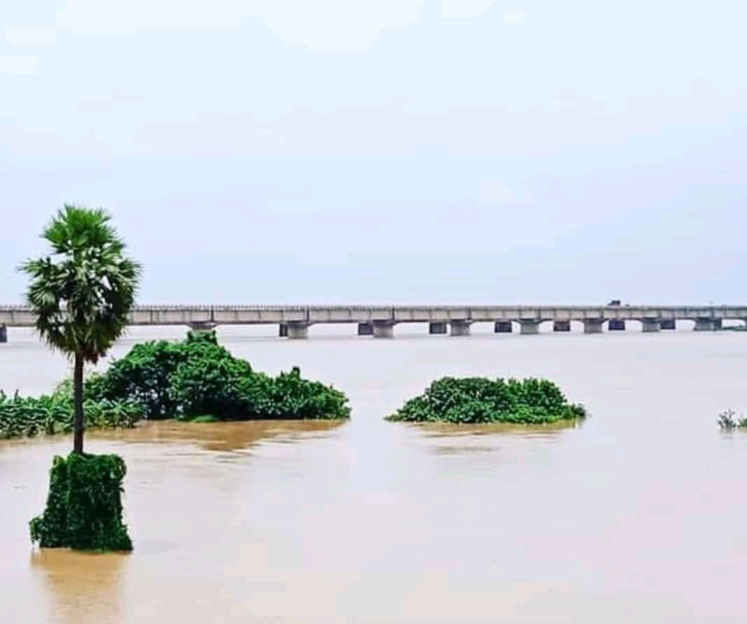 Godavari Bridge