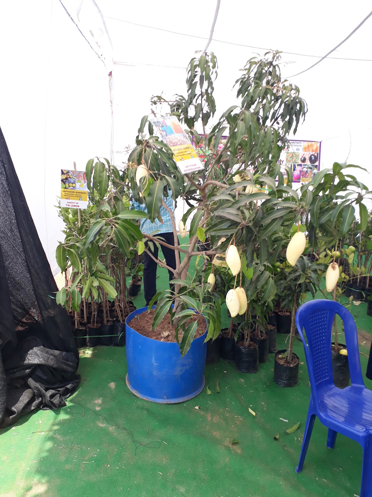 Rajahmundry Arts College