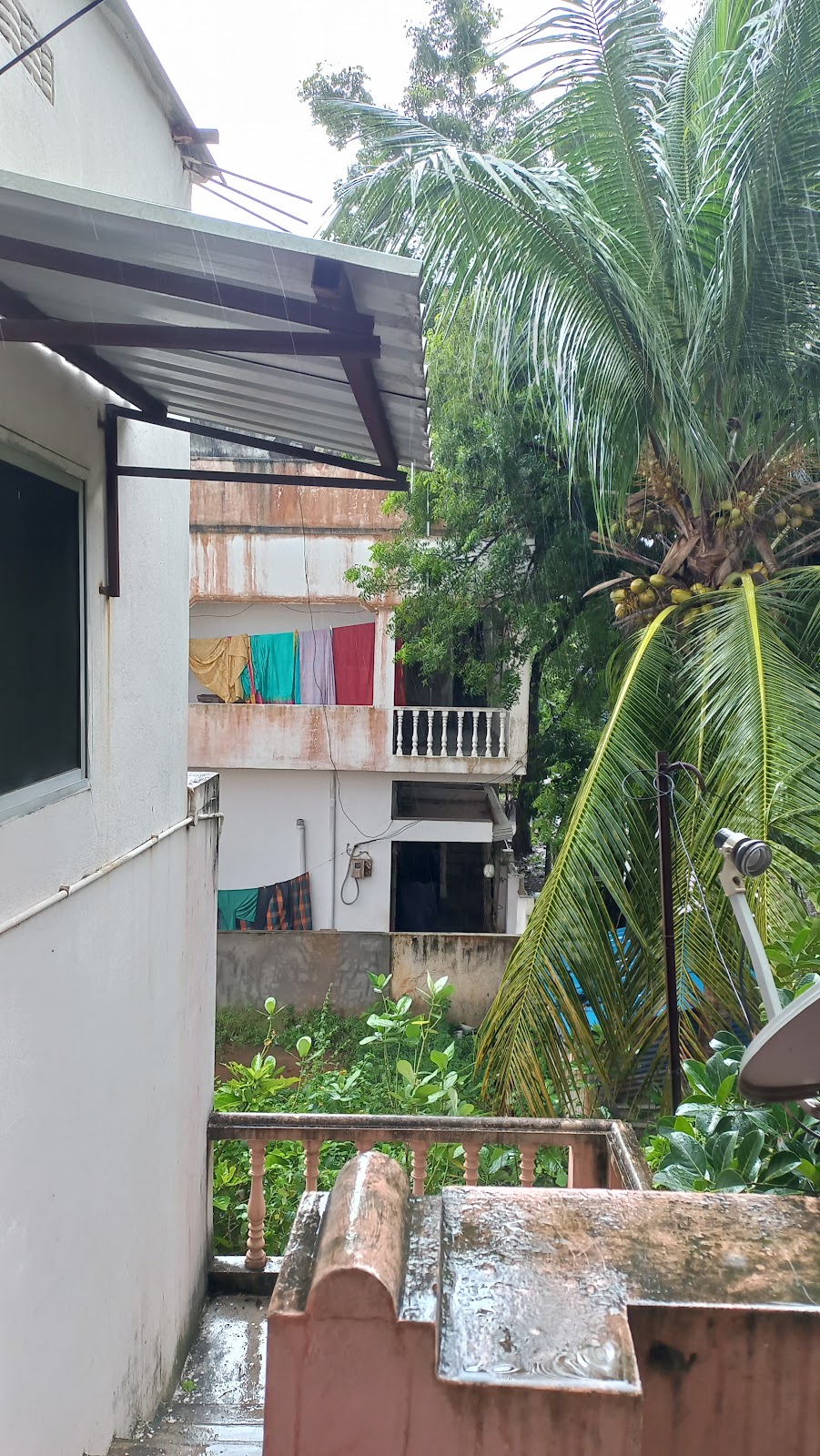 Rallabandi Subbarao Government Museum