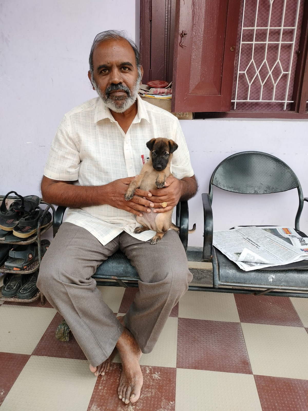 Rajapalayam Dog Breeding Center