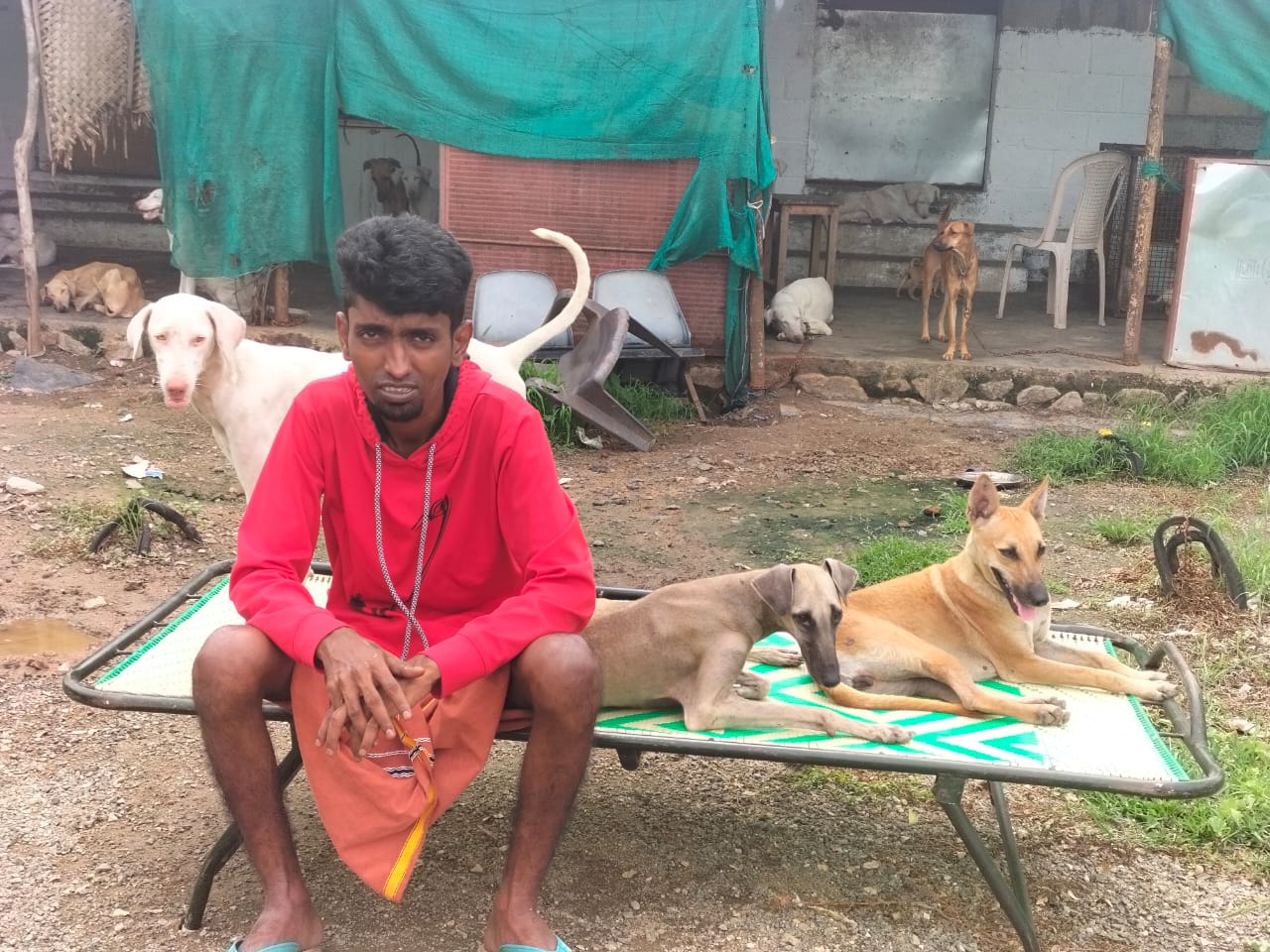 Rajapalayam Dog Breeding Center