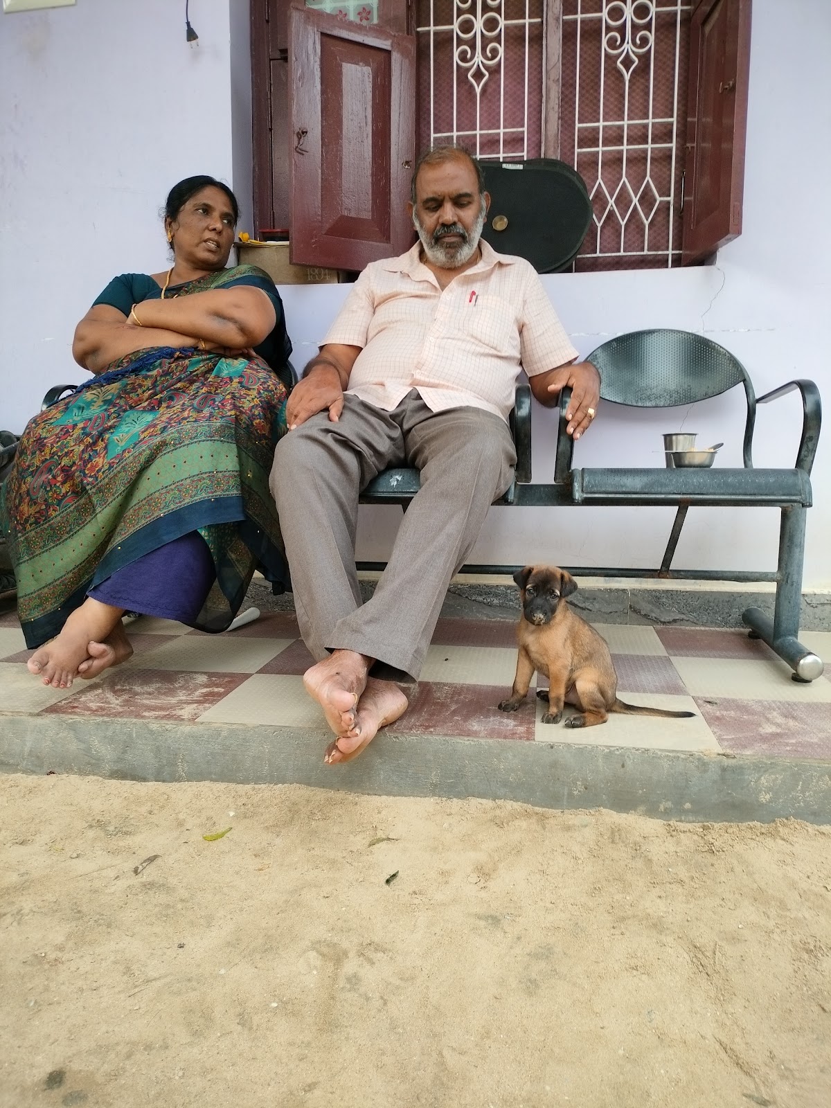Rajapalayam Dog Breeding Center