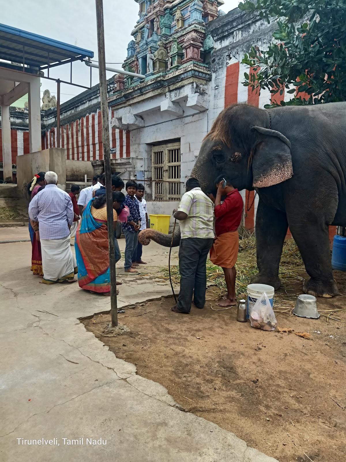 Sankaranarayanar Temple