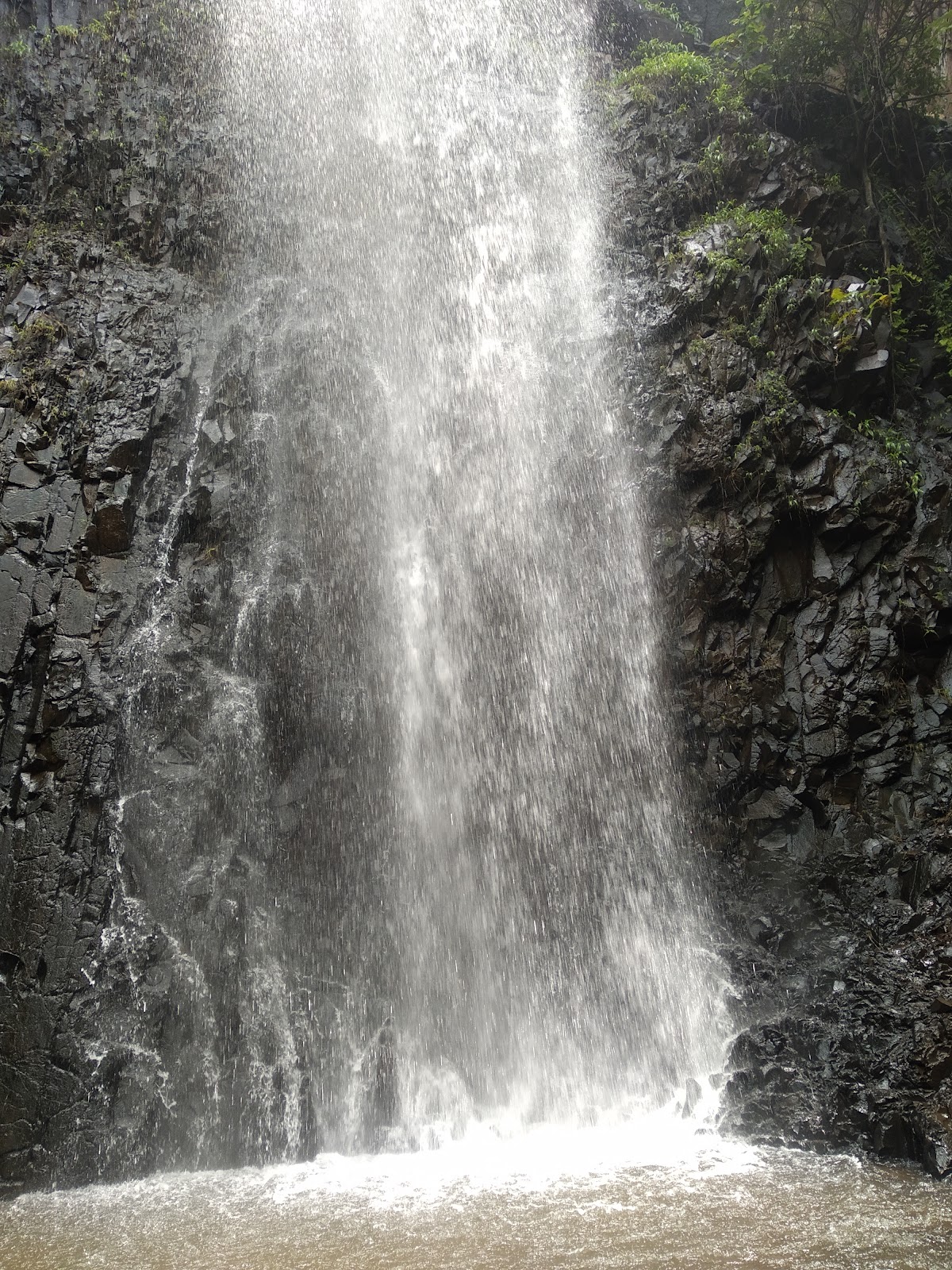 Savitri River Backwaters