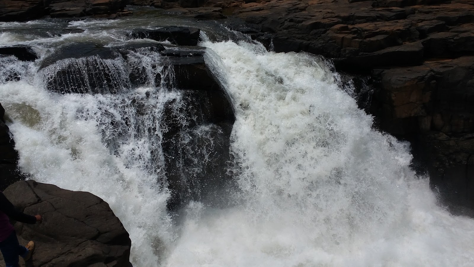 Savitri River Backwaters