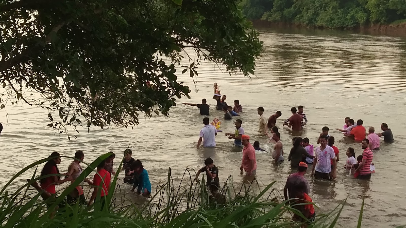 Savitri River Backwaters