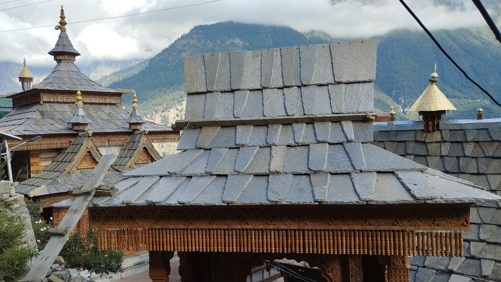 Kinnaur Apple Orchards