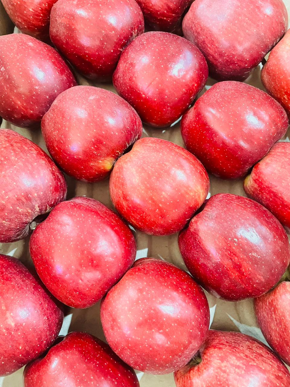 Kinnaur Apple Orchards