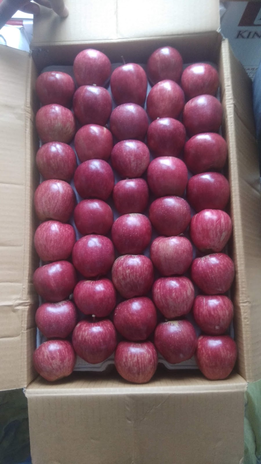 Kinnaur Apple Orchards