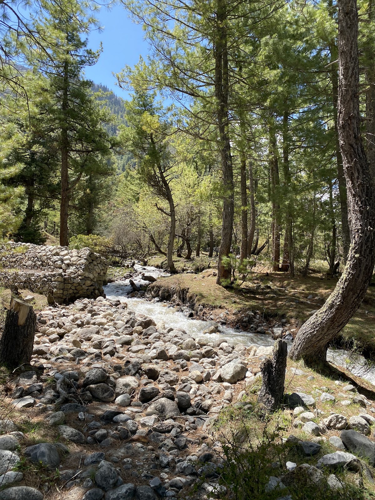 Rakcham Village Walk