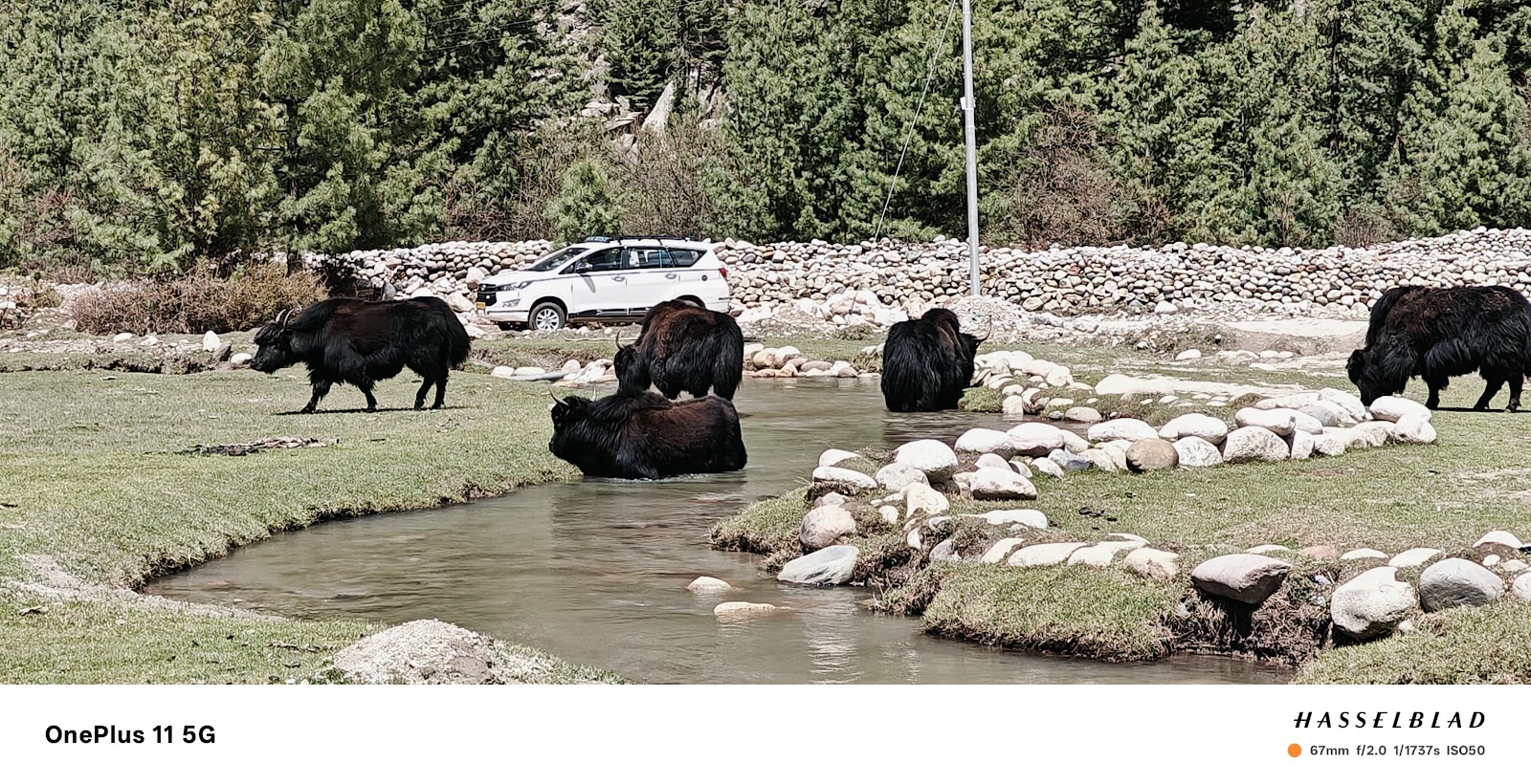 Rakcham Village Walk