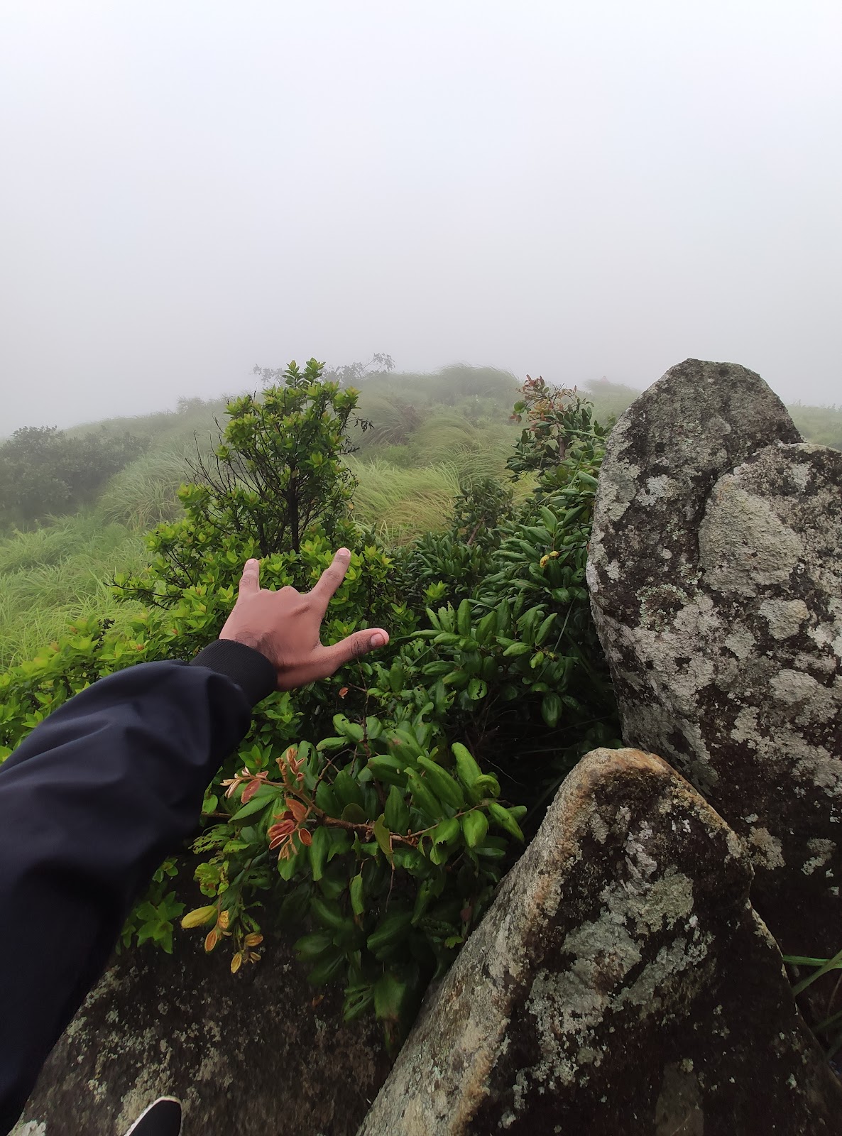 Nedumkandam View Point