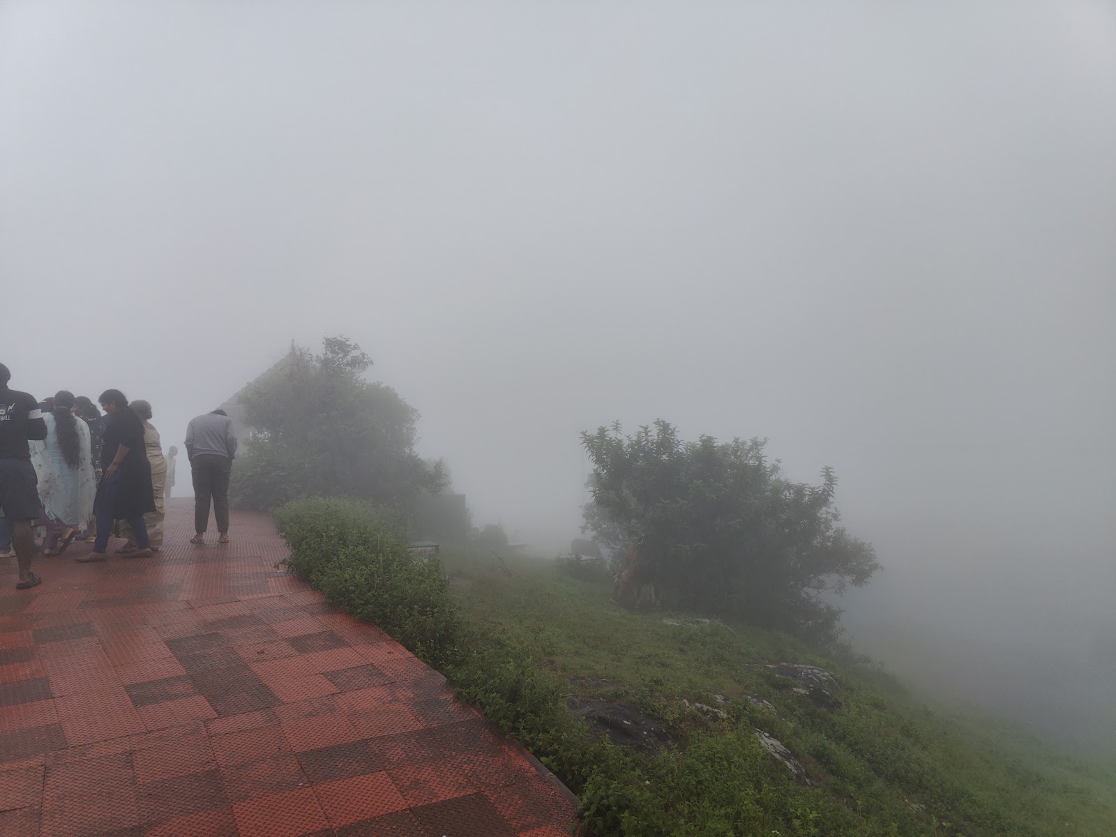 Parunthumpara View Point
