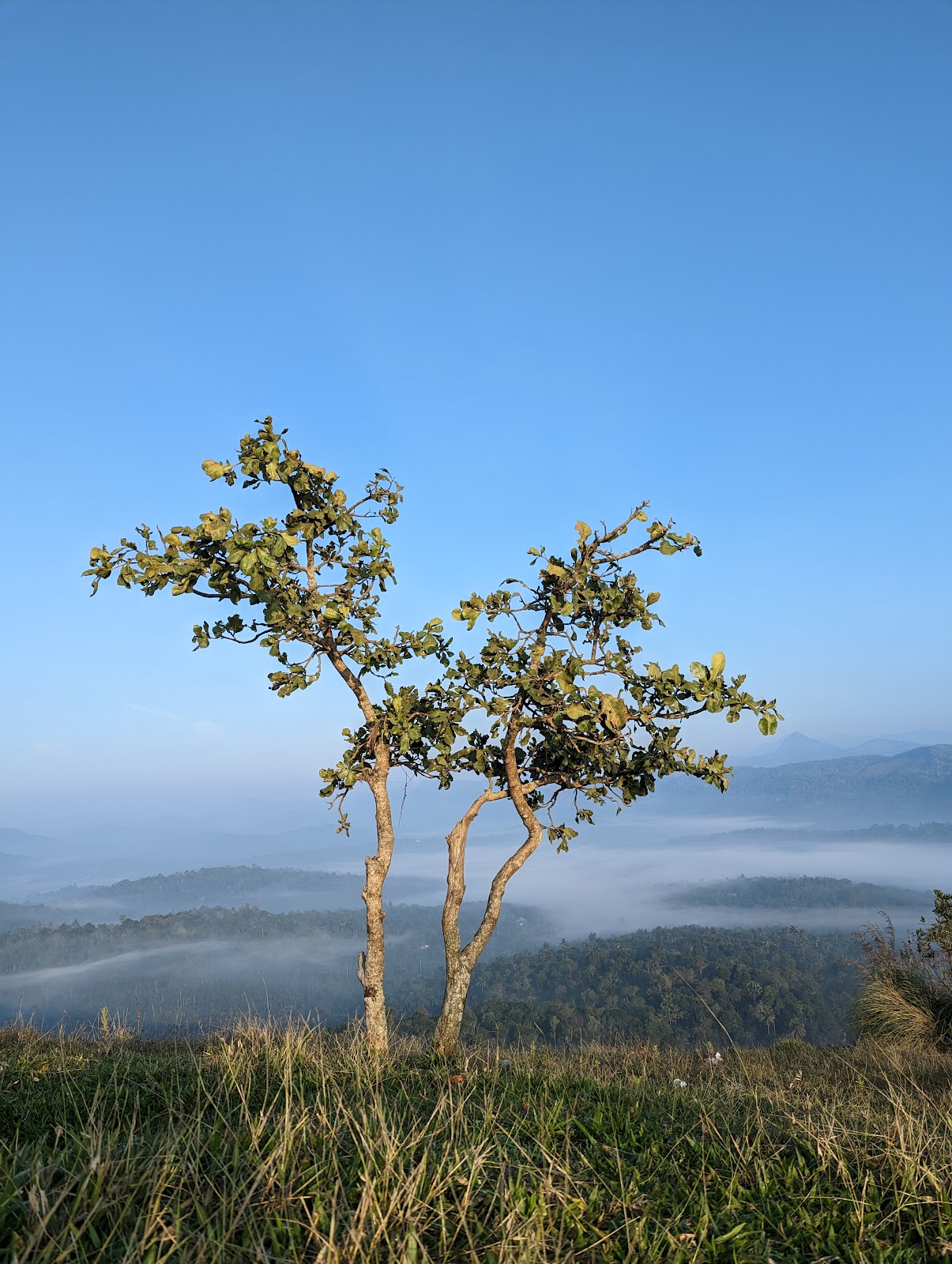 Ramakkalmedu Wind Farm
