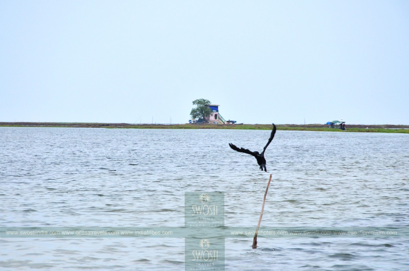 Nalabana Bird Sanctuary