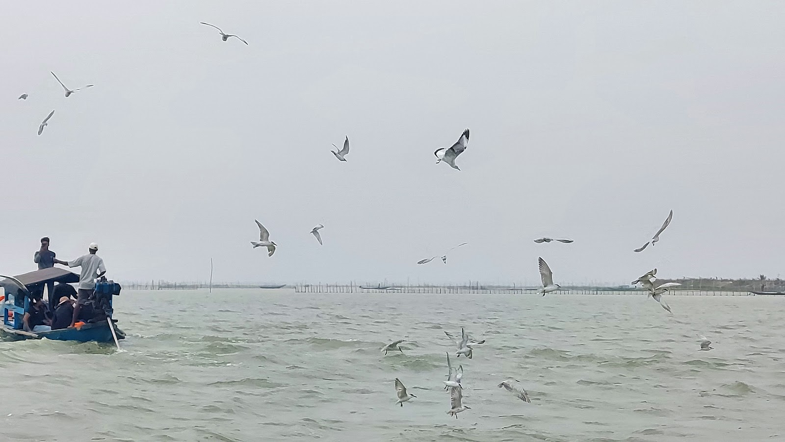 Nalabana Bird Sanctuary