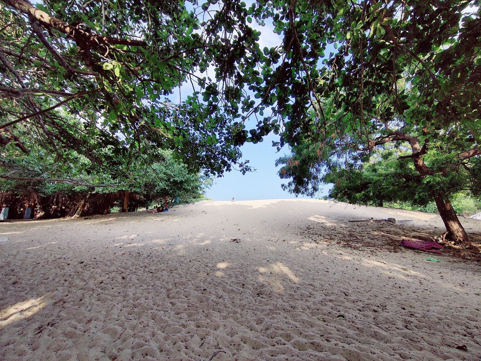Nambu Nayaki Amman Temple