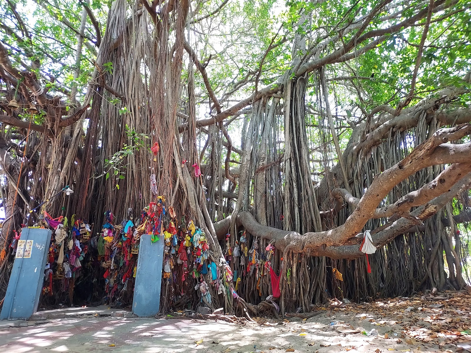 Nambu Nayaki Amman Temple
