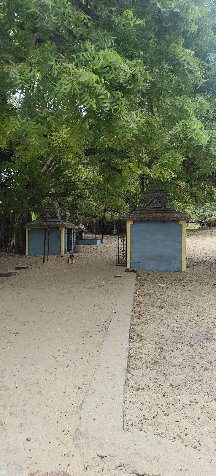 Nambu Nayaki Amman Temple