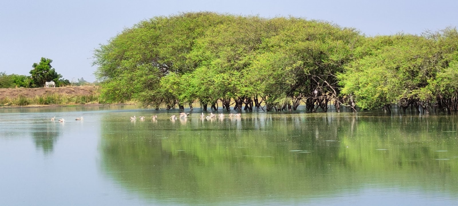 Water Bird Sanctuary