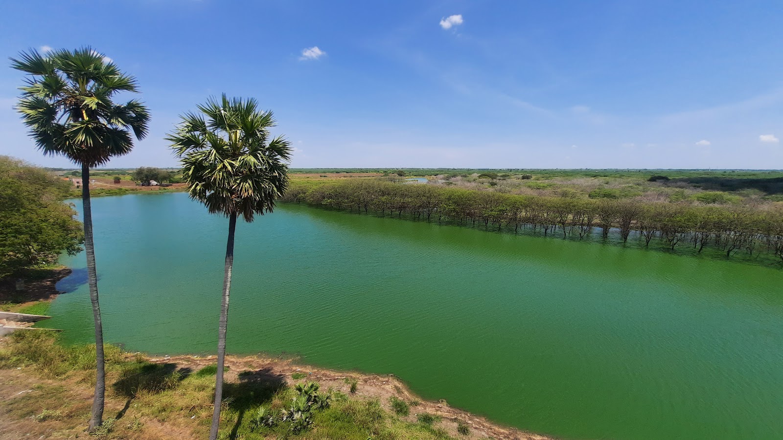 Water Bird Sanctuary
