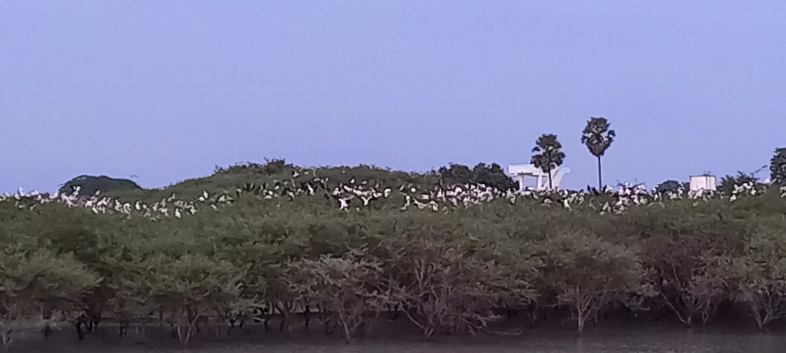 Water Bird Sanctuary