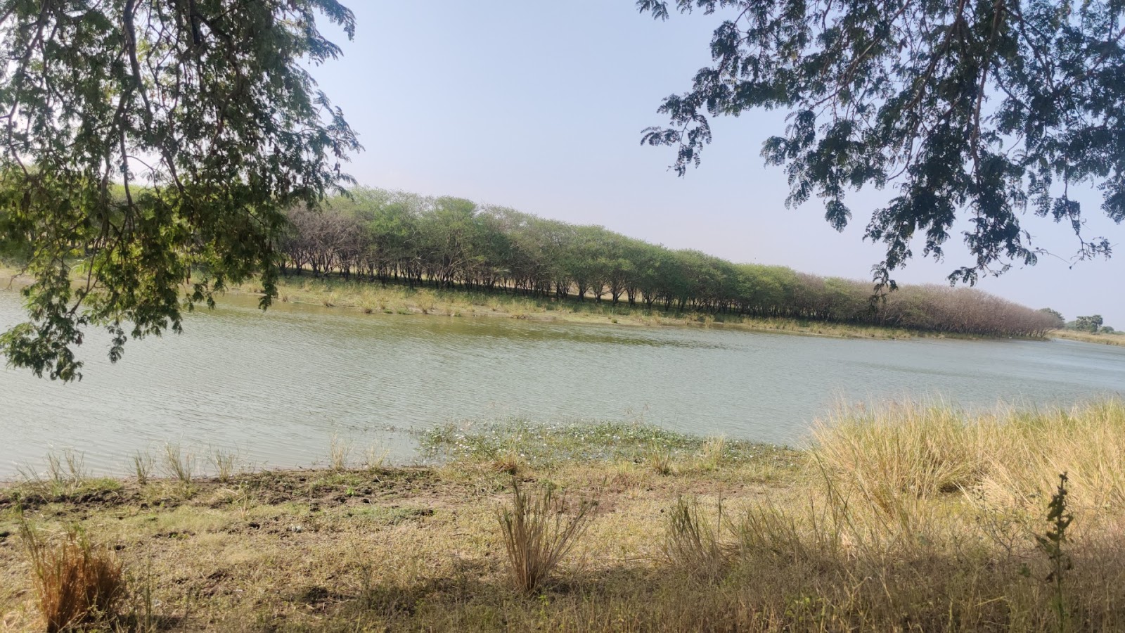 Water Bird Sanctuary