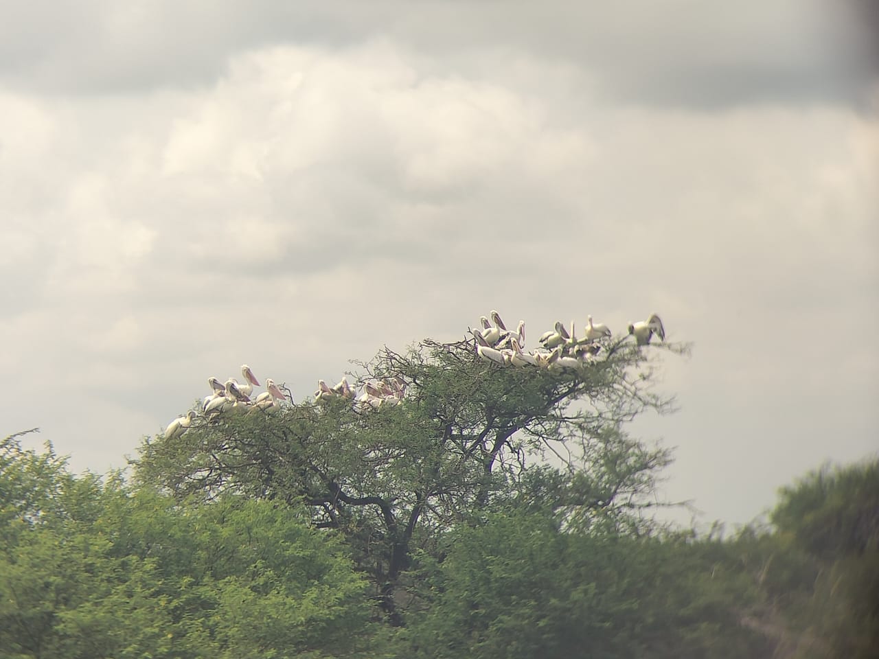 Water Bird Sanctuary