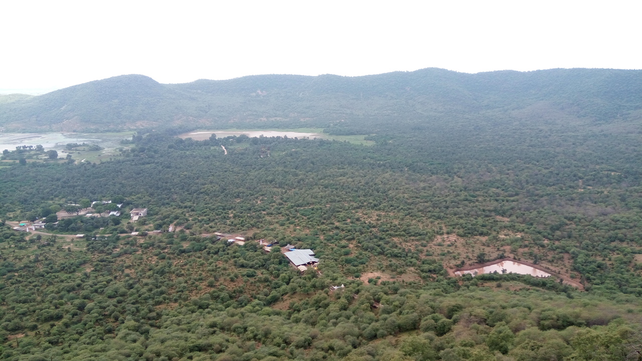 Local Temples