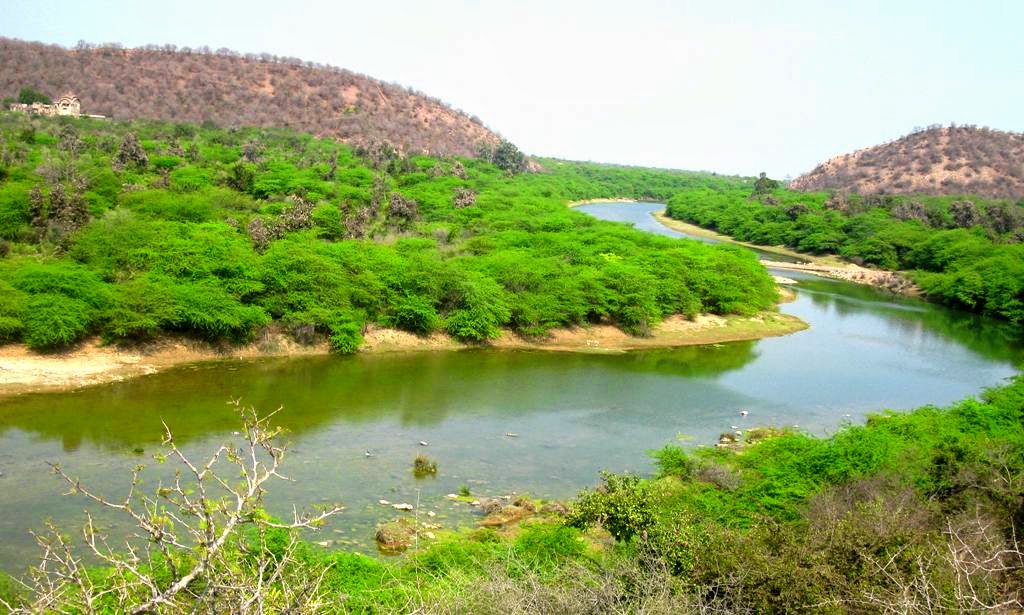 Wildlife Sanctuary