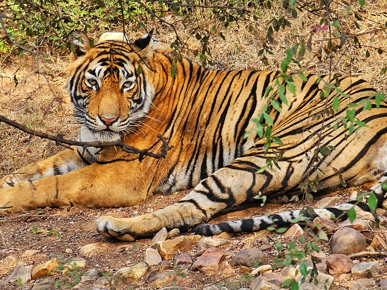 Wildlife Sanctuary