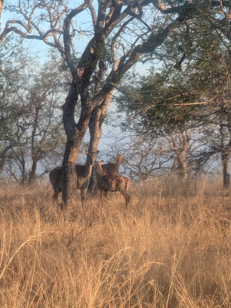 Wildlife Sanctuary