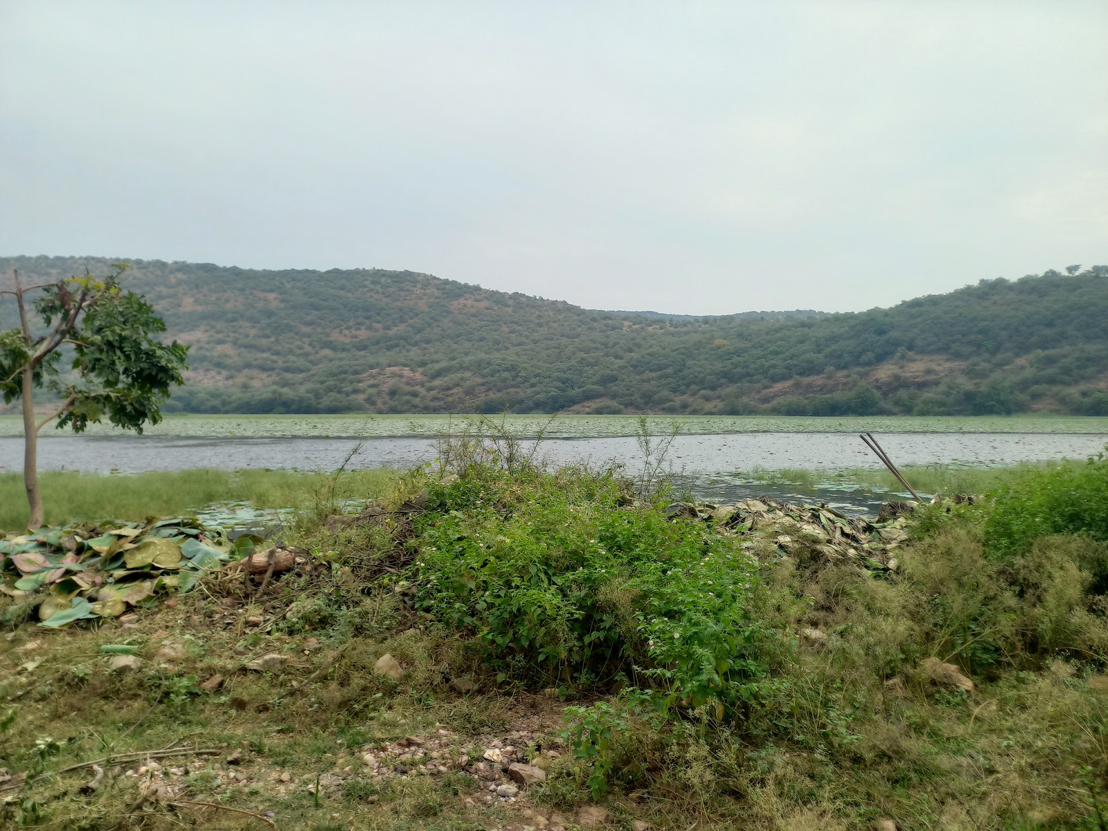 Wildlife Sanctuary