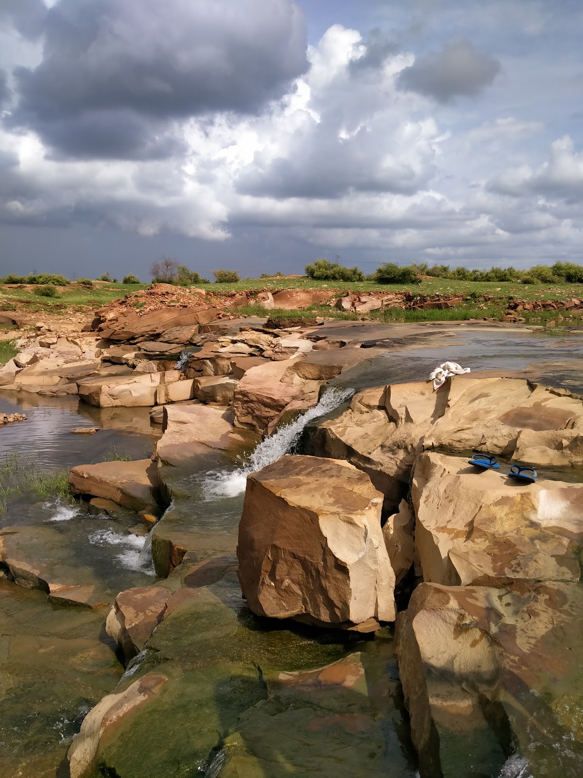 Wildlife Sanctuary