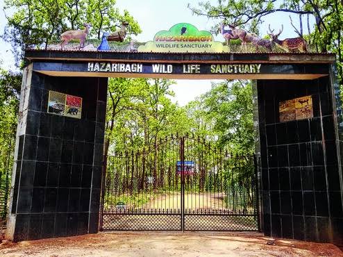 Hazaribagh Wildlife Sanctuary