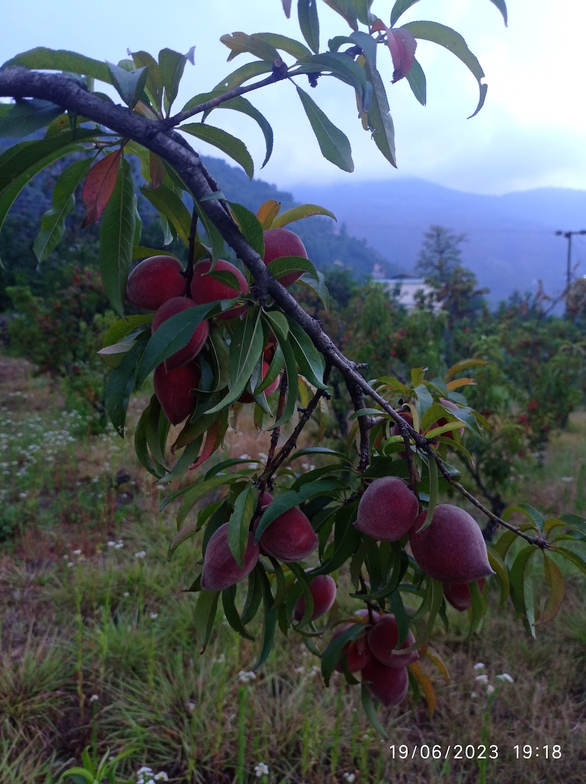 Ramgarh Sunset Point