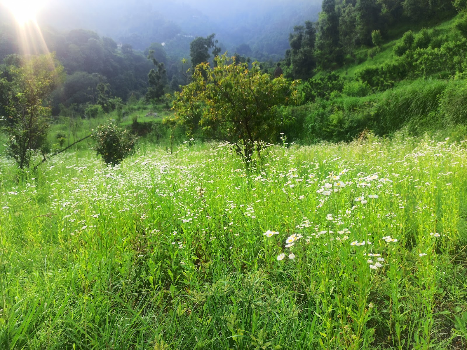 Ramgarh Village Market