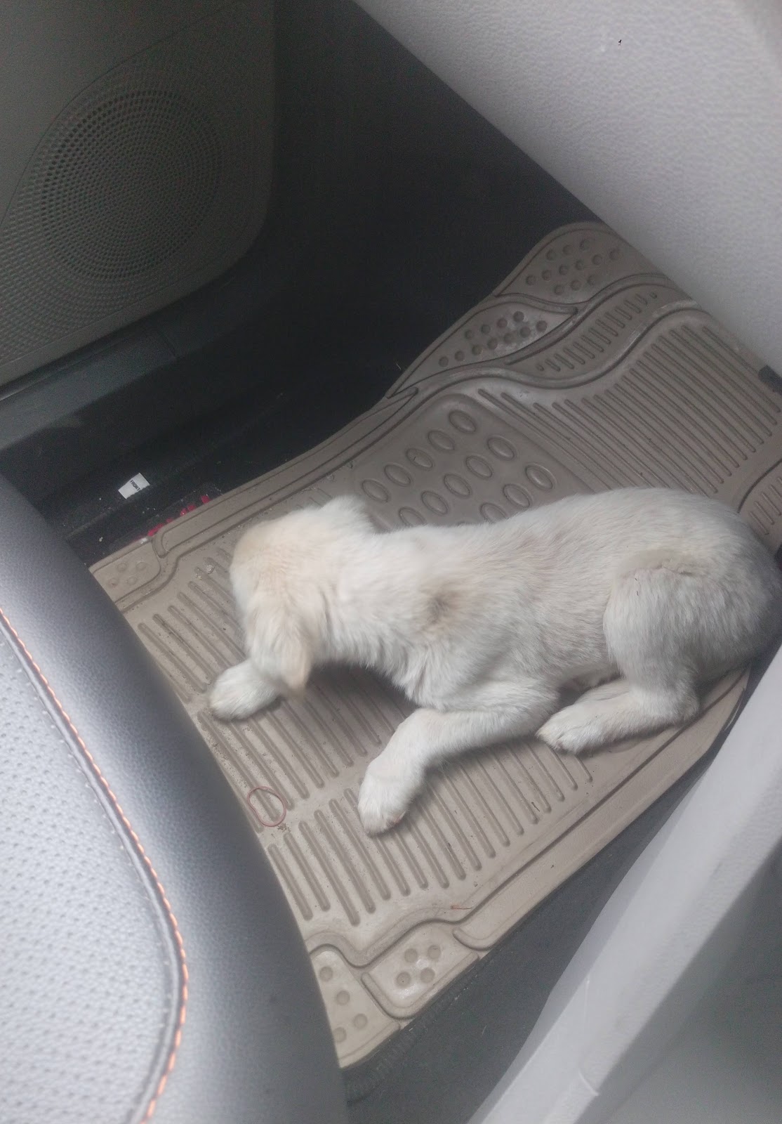 Ramgarh Village Market