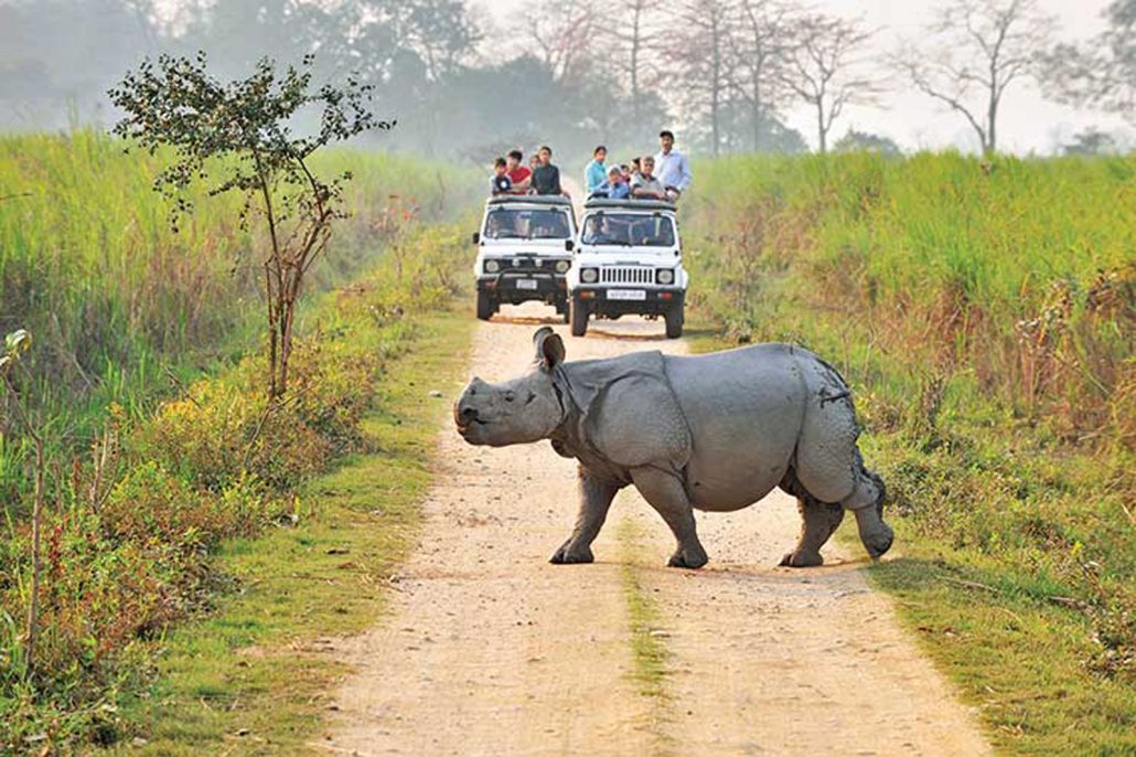 Corbett National Park