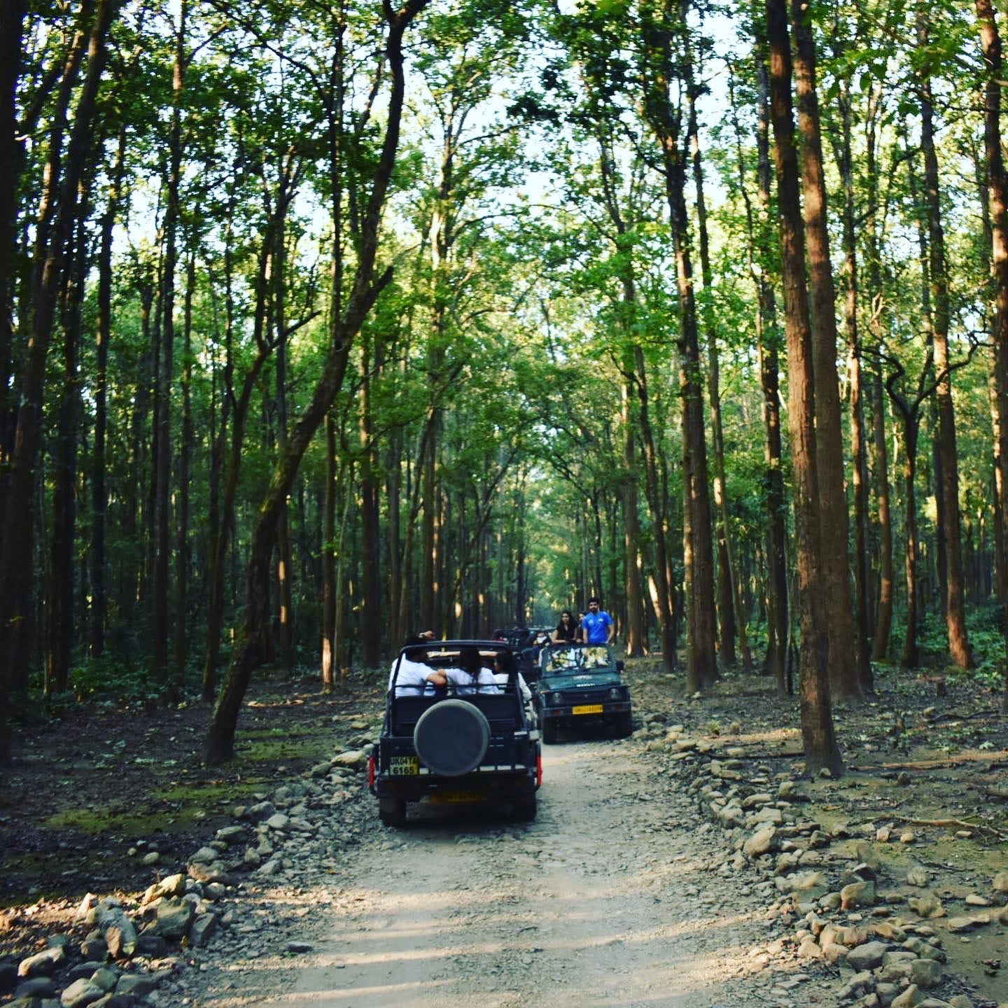 Sitabani Wildlife Reserve