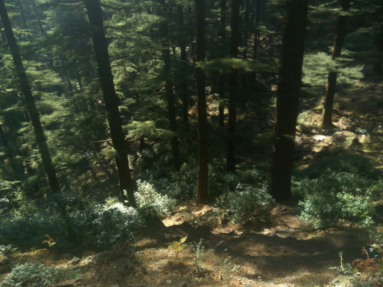 Riverside Picnic Spot