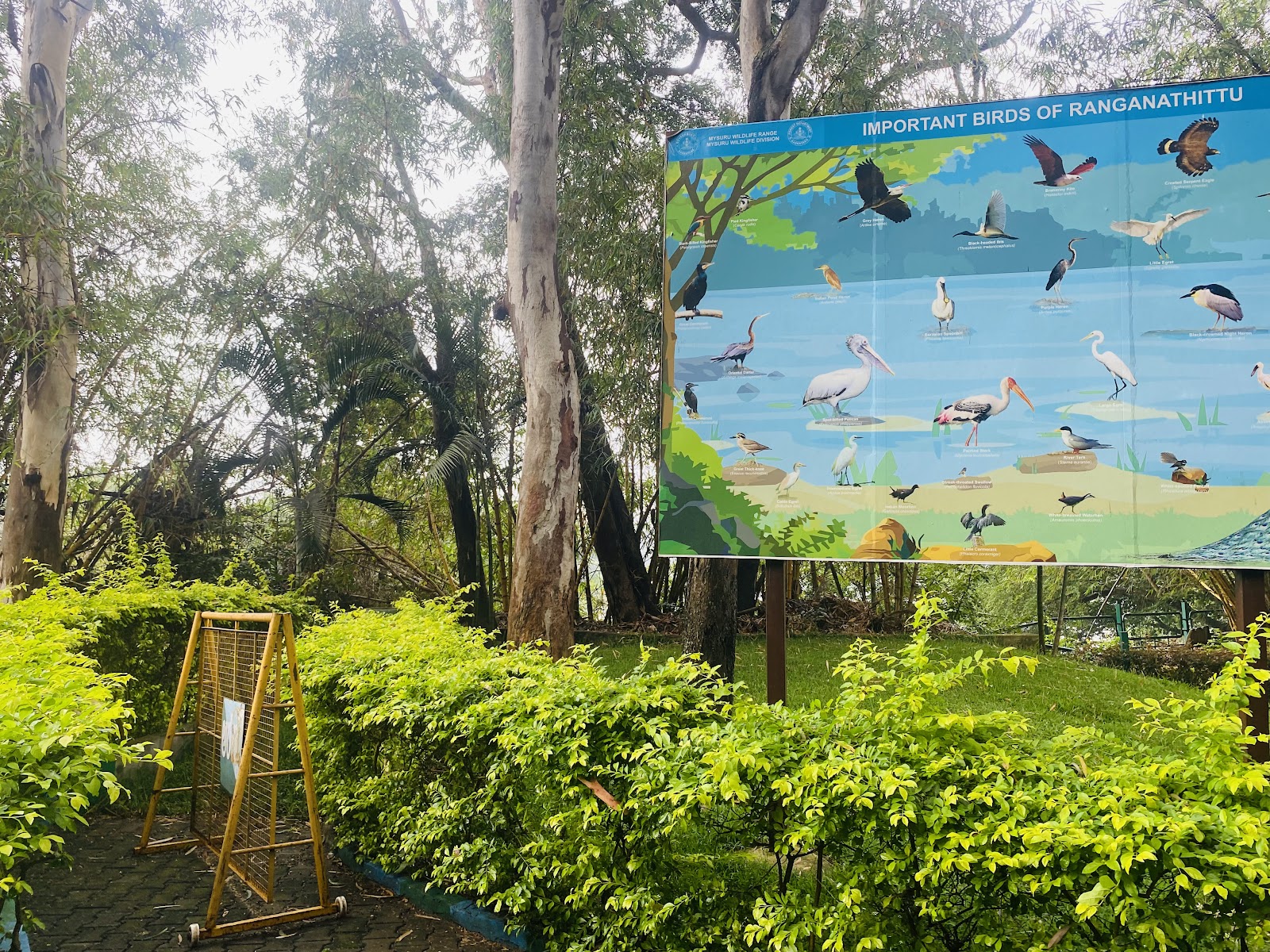 Ranganathittu Bird Sanctuary